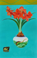 Amaryllis 44x25